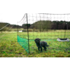 Small black dog standing behind a green net on grass; trees in the background and a white bowl to the right