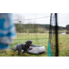 Small dark gray dog next to a light dog bed on grass in front of a goal net; blurred blue object at left, trees in the background