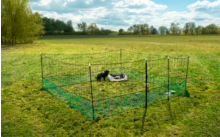 Green temporary mesh fence forming a square on a grassy field; inside a round dog bed and two small black-and-white dogs; trees and cloudy sky in the background