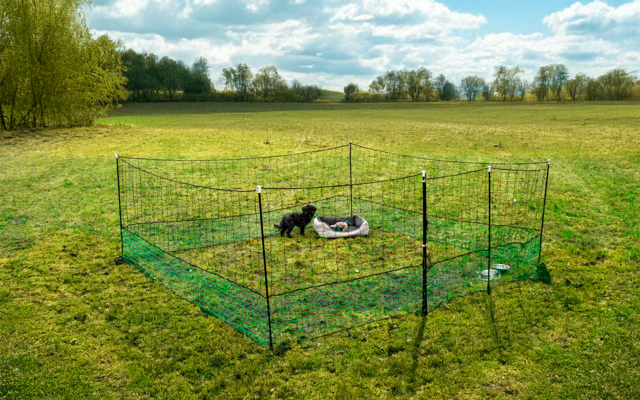 Grüner, temporärer Netzzaun bildet Quadrat auf einer Wiese; innen rundes Hundebett und zwei kleine schwarz-weiße Hunde; im Hintergrund Bäume und bewölkter Himmel