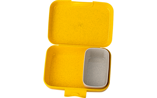 Produktbild Koziol Candy L Lunchbox mit Trennschale 19 x 13,5 x 6,5 cm 1
