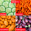 Collage en quatre parties : en haut à gauche tranches de concombre, en haut à droite carottes, en bas à gauche pommes de terre, en bas à droite aubergines ; étiquettes rouges avec texte blanc 'Ideal für', 'Gurken', 'Karotten', 'Kartoffeln', 'Auberginen'