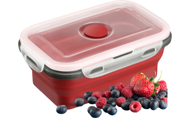 Roter rechteckiger Aufbewahrungsbehälter mit durchsichtigem Deckel und weißen Verschlüssen, daneben Erdbeeren, Himbeeren und Blaubeeren