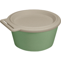 Koziol Move Box Schale mit Deckel 250 ml nature leaf green 