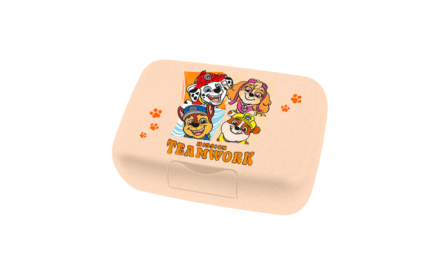 Koziol Candy L Box Lunchbox / Brotdose mit Trennschale organic moon paw patrol