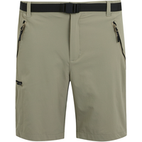 Regatta Xert III Stretch Herren Stretchshorts