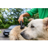 Kleines Produktbild K&auml;rcher Zubeh&ouml;rset Pet inklusive Tasche f&uuml;r sanfte Hunde Reinigung  1