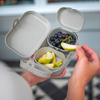 Des mains tiennent une boîte-repas gris clair au couvercle ouvert ; à l'intérieur quartiers de pomme et raisins, une main tient un quartier de pomme