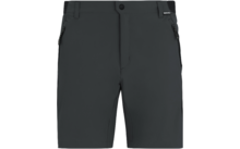 22004248 22004250 22004252 22004254 22004256 22004258 22004260 - Regatta Mountain Herren Wandershorts