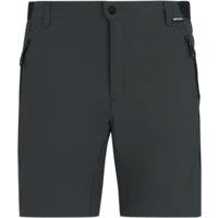 Pantaloncini da trekking Regatta Mountain da uomo