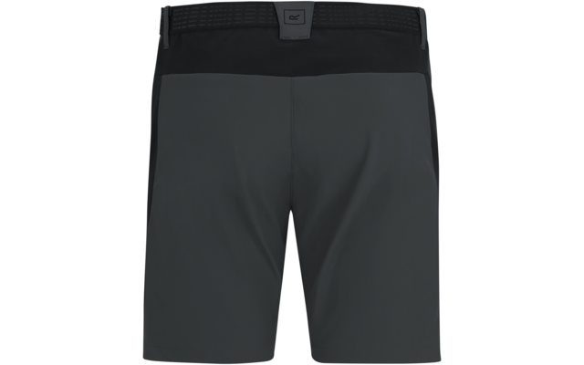 Rückansicht einer dunkelgrauen Shorts mit schwarzem Bund und kleinem Logoetikett mittig hinten