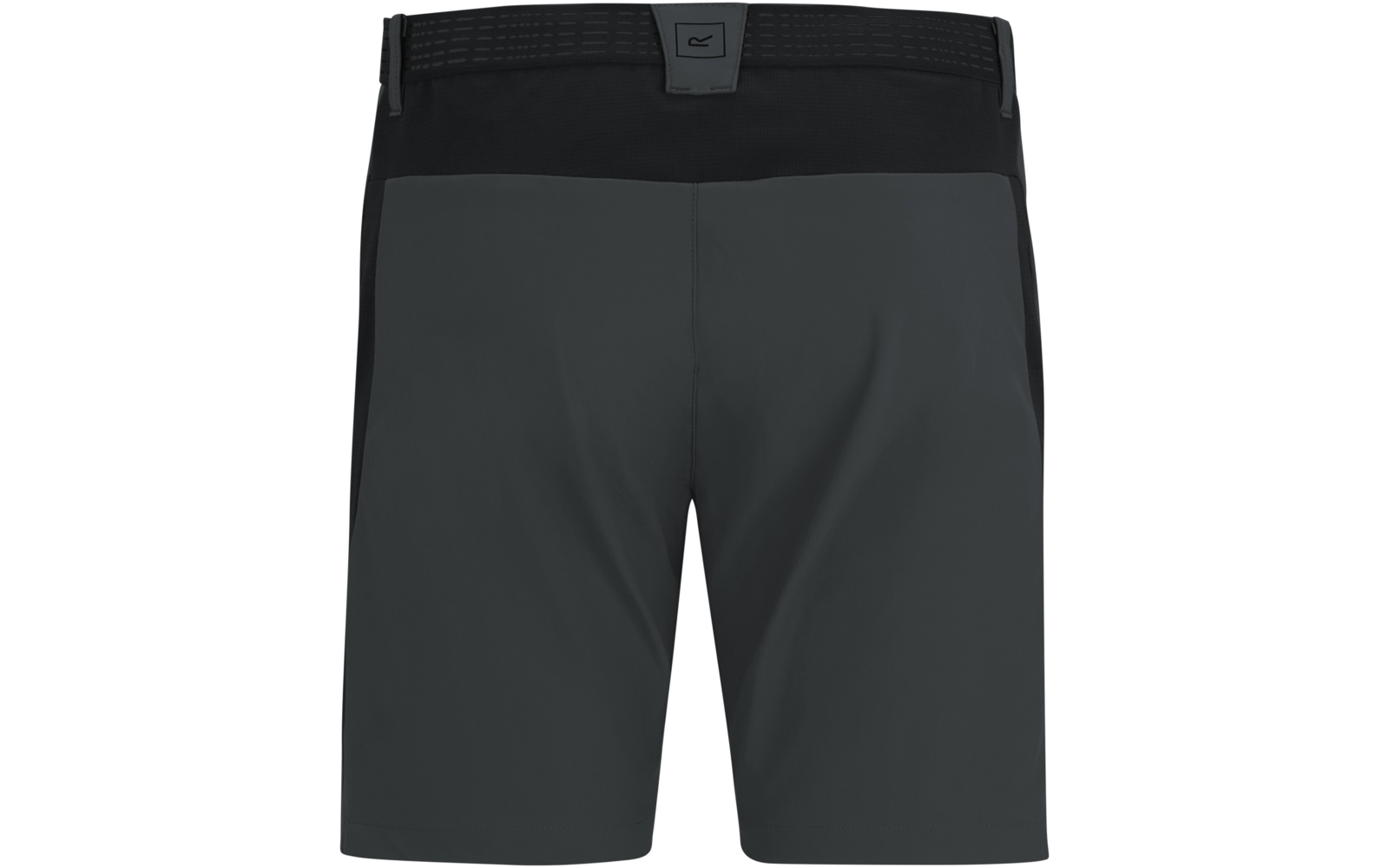 Rückansicht einer dunkelgrauen Shorts mit schwarzem Bund und kleinem Logoetikett mittig hinten