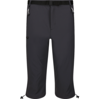 Regatta Xert III Men Capri Pants