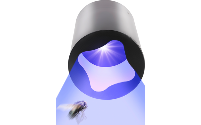 Eine Fliege unter einem UV-Licht