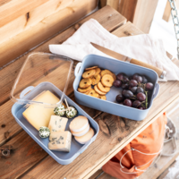 Koziol Stakk Bentobox 2 Lunchboxset 3 teilig mit 2 Boxen / 1 Deckel 2 Liter nature flower blue/crystal clear