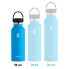 Hydro Flask Standard Flex Cap Trinkflasche 532 ml pacific