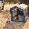 Zwei Hunde neben einem geöffneten kleinen Campingzelt auf sandigem Boden, links teilweise ein Fahrzeug sichtbar