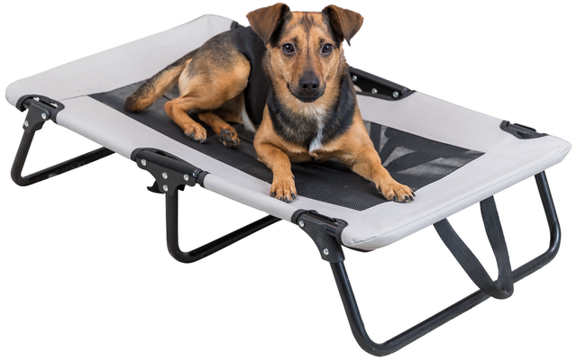 Trixie Chaise longue pour chiens Strong Edition 99 x 19 x 60 cm
