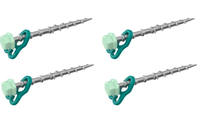 Vier zilveren schroeven met zeshoekige lichtgroene koppen en turkooise ringen op een witte achtergrond