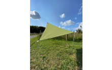 Grüne Sonnensegelspinne auf einer grünen Wiese unter blauem Himmel mit Wolken