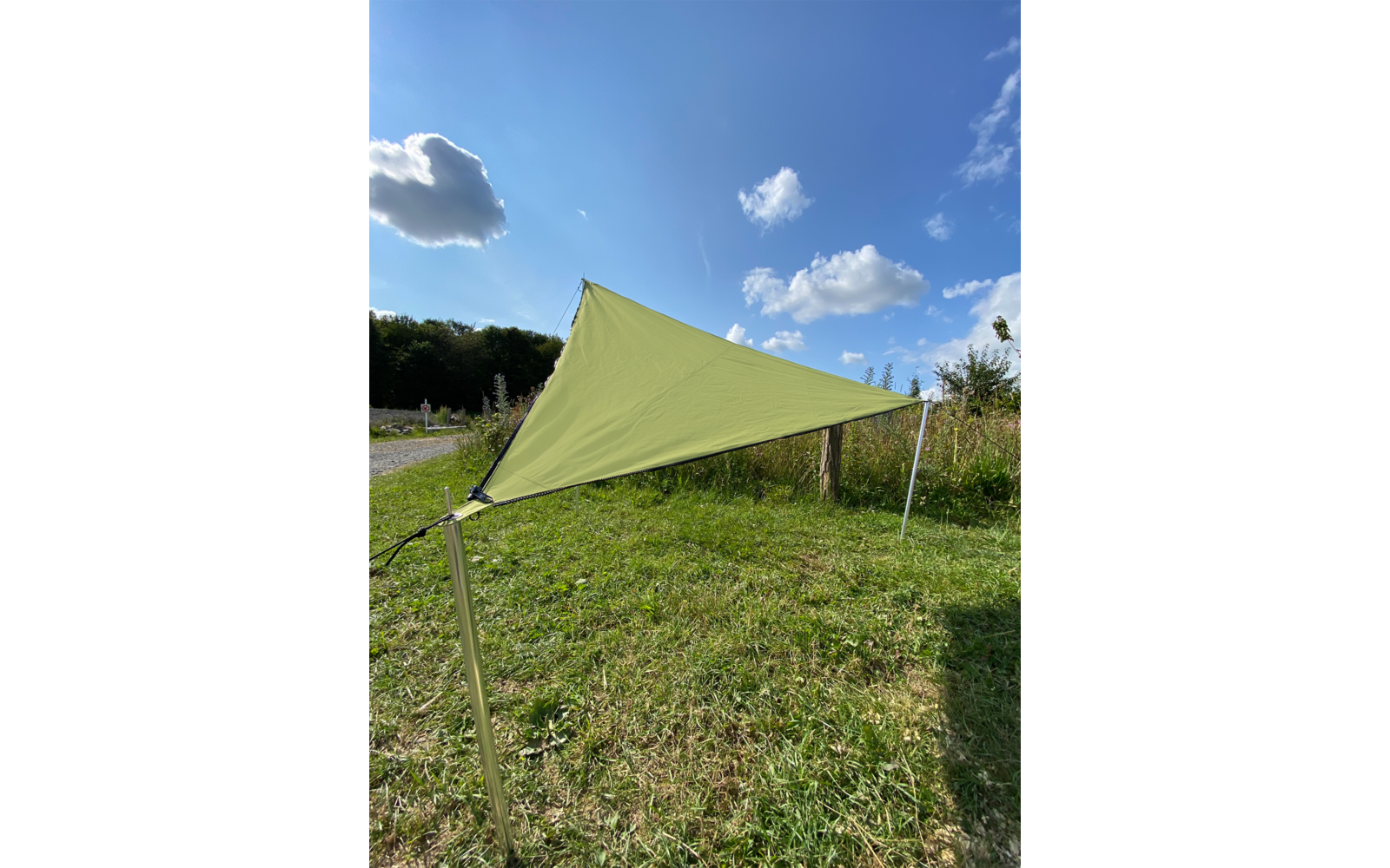 Grüne Sonnensegelspinne auf einer grünen Wiese unter blauem Himmel mit Wolken