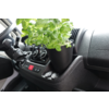 Pflanze in einem Becherhalter im Auto neben dem Armaturenbrett