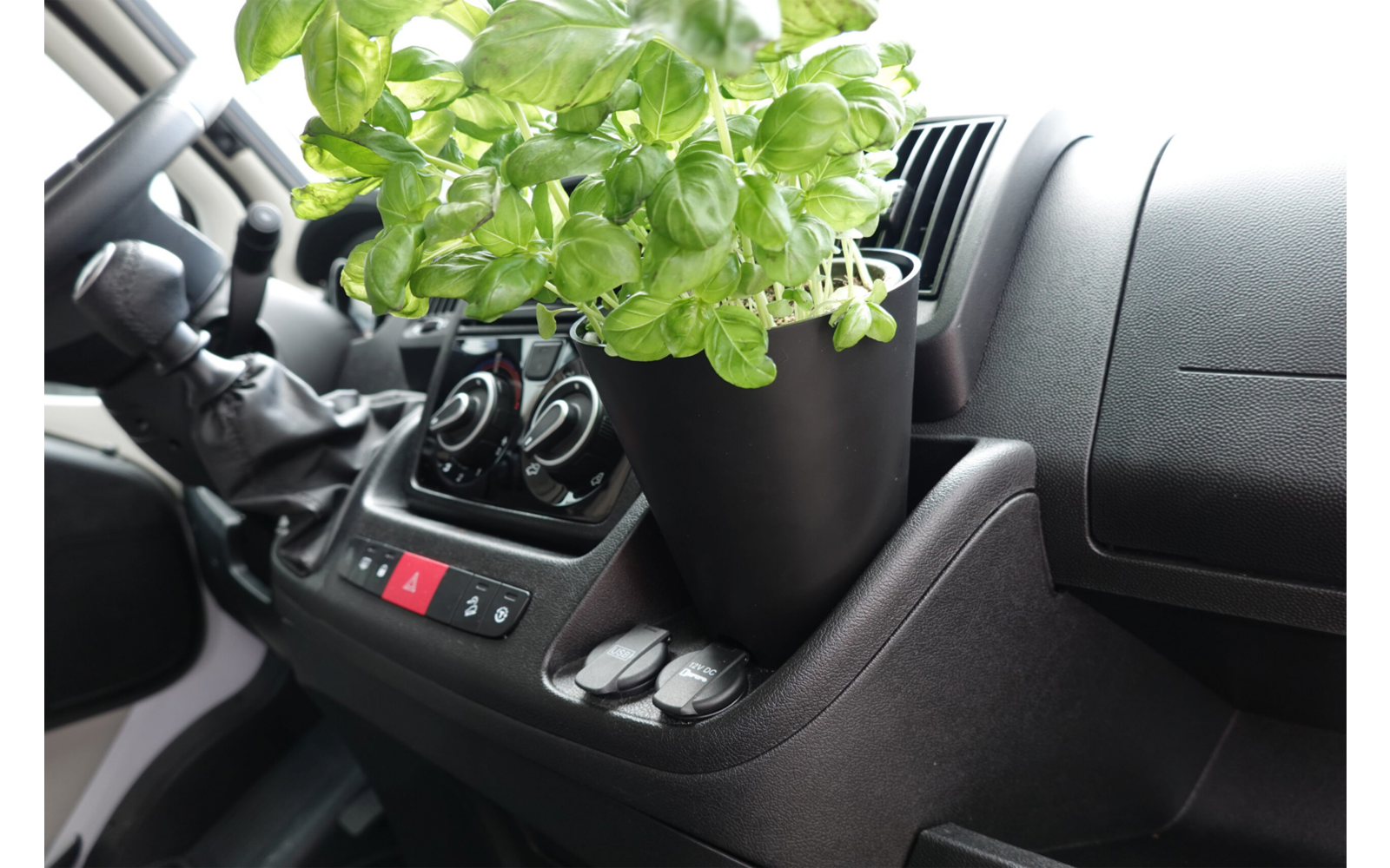 Pflanze in einem Becherhalter im Auto neben dem Armaturenbrett