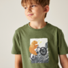 Oberkörper eines Jungen in grünem T‑Shirt, Blick nach rechts; T‑Shirt-Aufdruck: Bär auf Fahrrad auf Felsen
