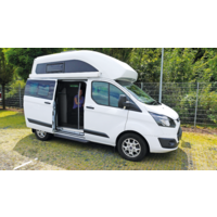 REMIS REMIcare Van Plissee-Insektenschutzt&uuml;r f&uuml;r Camper Van passgenau f&uuml;r Ford Transit V363 ab 2019