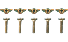 Five wing nuts in a row above five screws on a white background