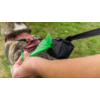 Hand hält eine grüne Hundekotbeutelentnahme an einem Hundehalsband mit Leine
