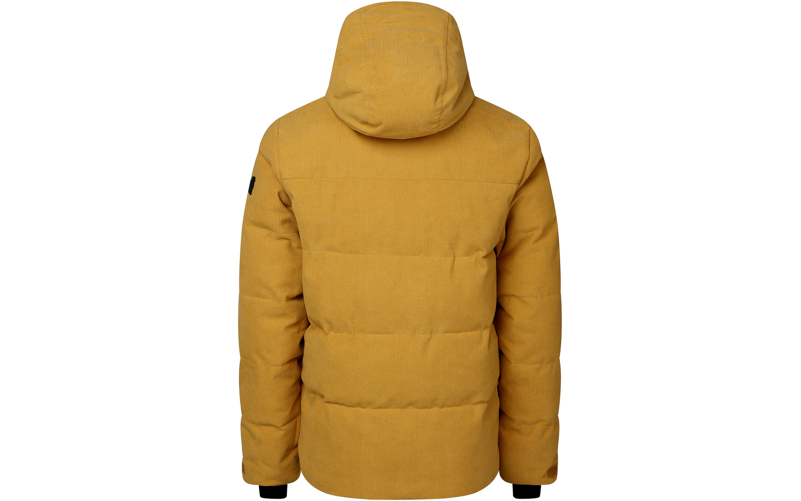 Rückansicht einer gelben Steppjacke mit Kapuze auf weißem Hintergrund