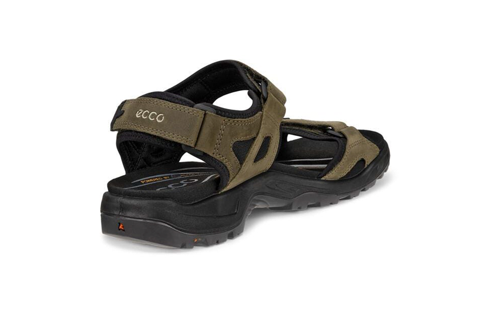 Sandale ouverte olive avec semelle crantée noire, deux sangles auto-agrippantes et logo ecco visible, vue de l'arrière gauche