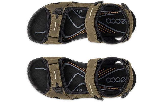 Vue de dessus de deux sandales vert olive avec brides Velcro réglables et semelles intérieures noires, logo 'ecco' visible