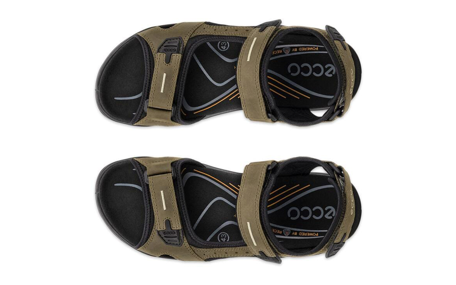 Vue de dessus de deux sandales vert olive avec brides Velcro réglables et semelles intérieures noires, logo 'ecco' visible