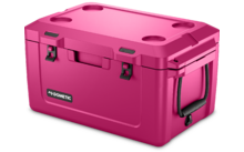 Dometic insulated ice and passive cooler 54 l Orchid
