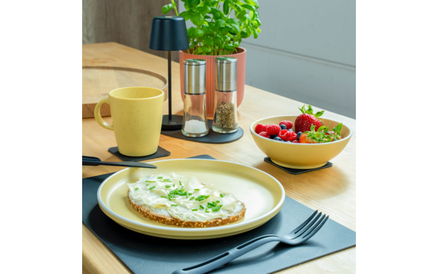 Table en bois avec une assiette contenant une tranche de pain garnie d'une pâte blanche et de fines herbes vertes hachées ; à côté une tasse jaune, un bol jaune avec des fraises, framboises et myrtilles, des salières et poivrières, un pot avec une plante verte, des couverts noirs et des sets de table noirs