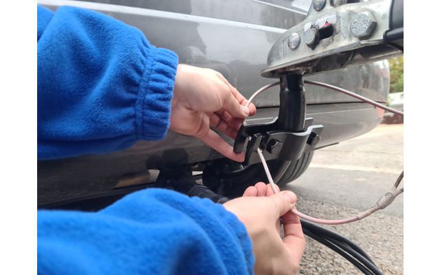 Image du produit Accouplement de s&eacute;curit&eacute; Berger avec feuillure / &oelig;illet Pays-Bas Hollande 1