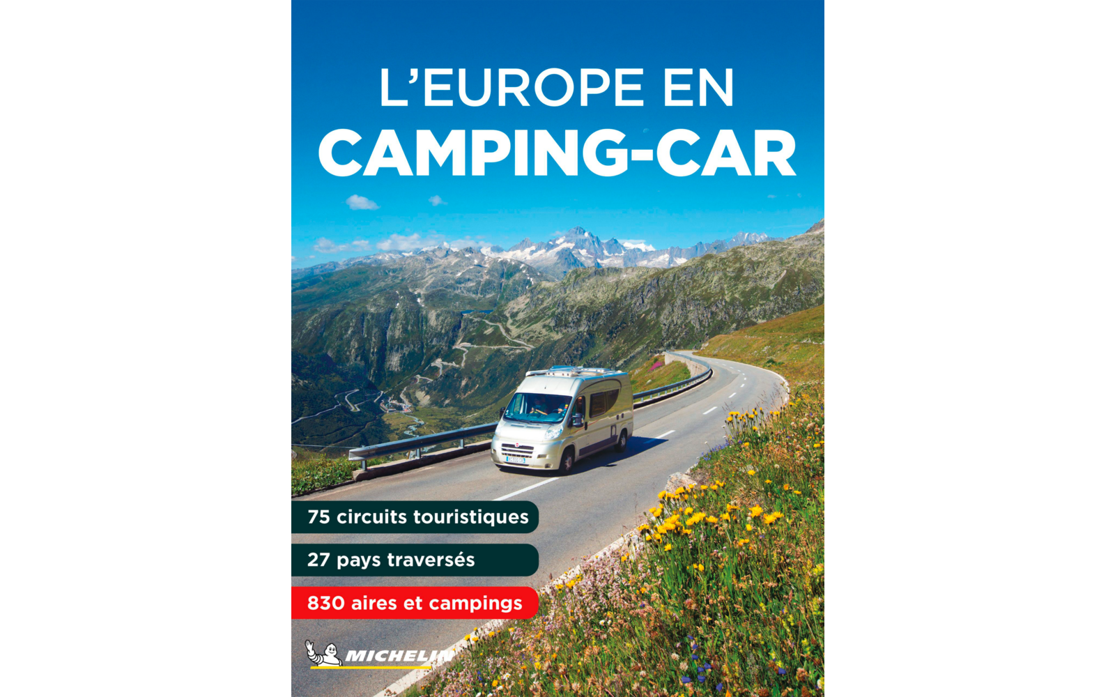 Campingbus fährt auf einer kurvigen Bergstraße mit Alpen im Hintergrund und blühenden Wiesen