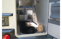 Offene Tür eines Wohnmobils, Blick auf schwarzen Fellteppich, geflochtene Laterne auf dem Boden, Schubladen, Sitzkissen und Bett mit blauer Decke