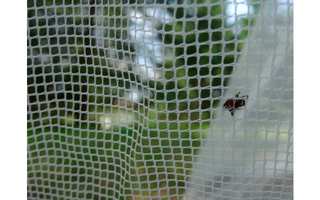 Pharmavoyage Mosquito Net Trek Enkel Muggenafweermiddel 205 x 145 x 150 cm
