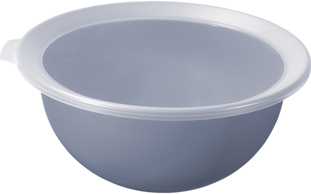 Rotho Caruba bowl with lid 1.8 liters horizon blue