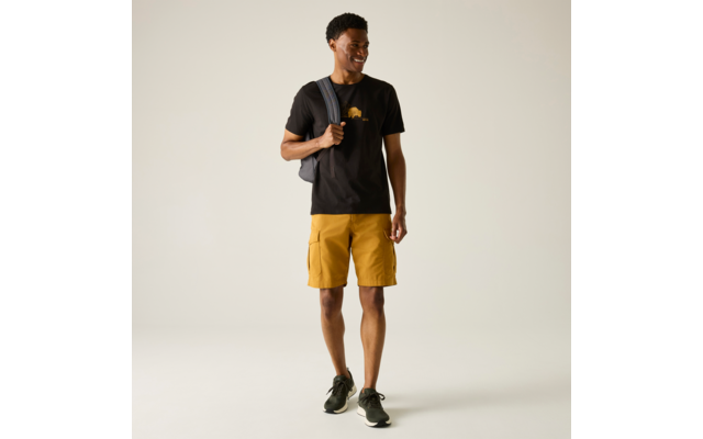 Produktbild Regatta Cline IX Herren T-Shirt 1