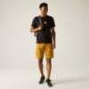 Kleines Produktbild Regatta Cline IX Herren T-Shirt 1