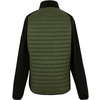 Ansicht von hinten einer Jacke mit grünem Rücken und schwarzen Ärmeln