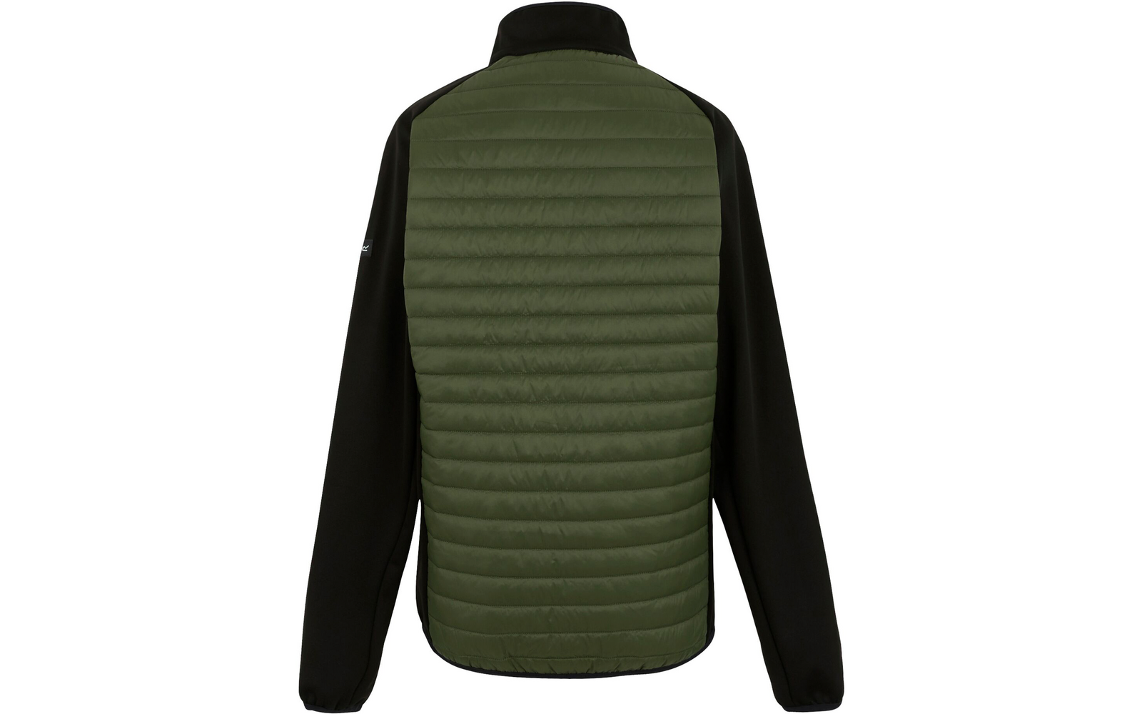 Ansicht von hinten einer Jacke mit grünem Rücken und schwarzen Ärmeln