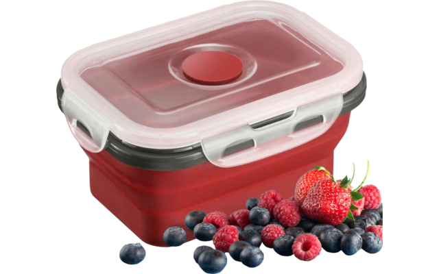 Roter rechteckiger zusammenklappbarer Aufbewahrungsbehälter mit transparentem Deckel und rundem Belüftungsventil, davor Erdbeeren, Himbeeren und Blaubeeren