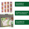 Zwei Bilder nebeneinander: links eine bunte Schmetterlingssammlung in einem Rahmen, rechts ein geöffneter Behälter mit weißen kleinen Objekten, jeweils mit beschrifteten grünen Textfeldern