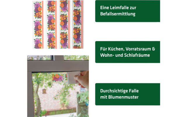 Zwei Bilder nebeneinander: links eine bunte Schmetterlingssammlung in einem Rahmen, rechts ein geöffneter Behälter mit weißen kleinen Objekten, jeweils mit beschrifteten grünen Textfeldern