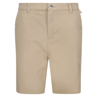 Regatta Sabden Herren Shorts